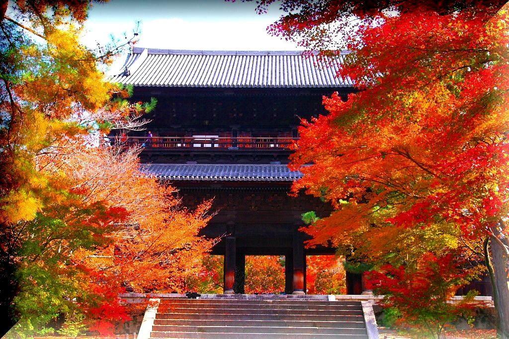 京都市 三休荘町家 永観堂ヴィラ エクステリア 写真